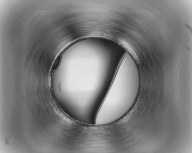 X0000094230900200710261011