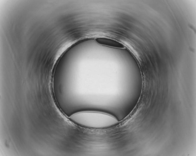X0000094230901200710261011