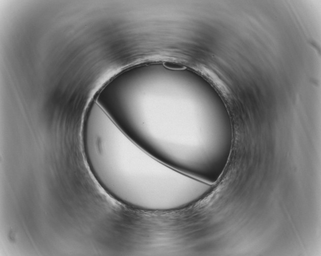 X0000094230902200710261011