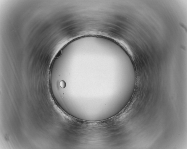 X0000094230903200710261011