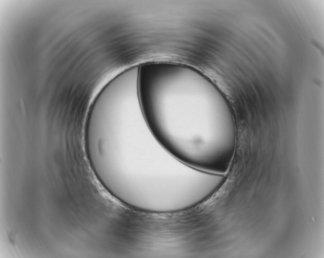 X0000094230904200710261011