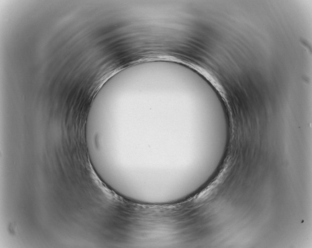 X0000094230905200710261011