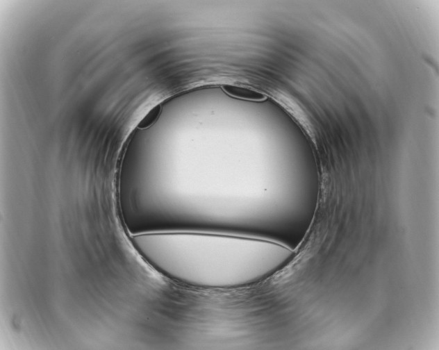 X0000094230906200710261011