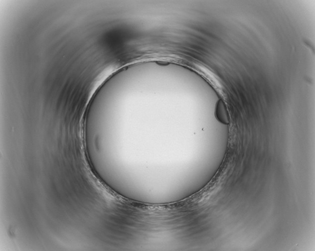 X0000094230907200710261011