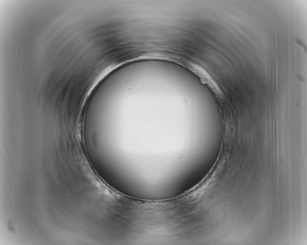 X0000094230908200710261011