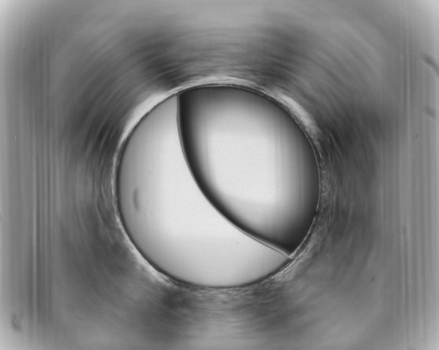 X0000094230910200710261011