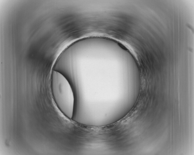 X0000094230911200710261011
