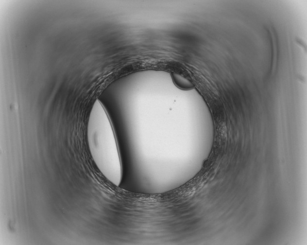 X0000094230914200710261010
