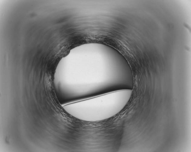 X0000094230915200710261010