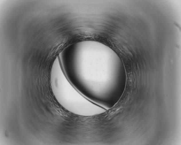 X0000094230916200710261010