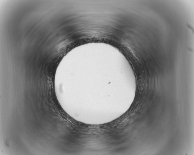 X0000094230918200710261010
