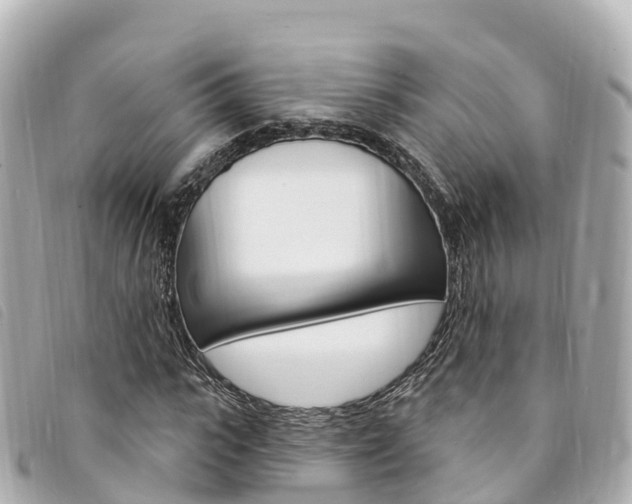 X0000094230919200710261010