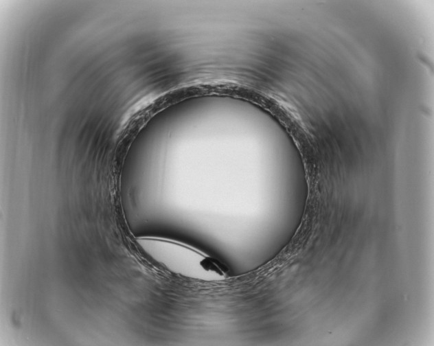 X0000094230920200710261010