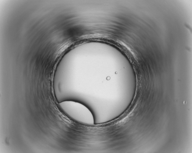 X0000094230921200710261010