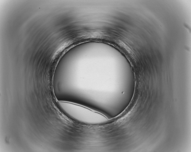 X0000094230922200710261010