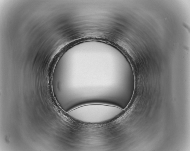 X0000094230923200710261010