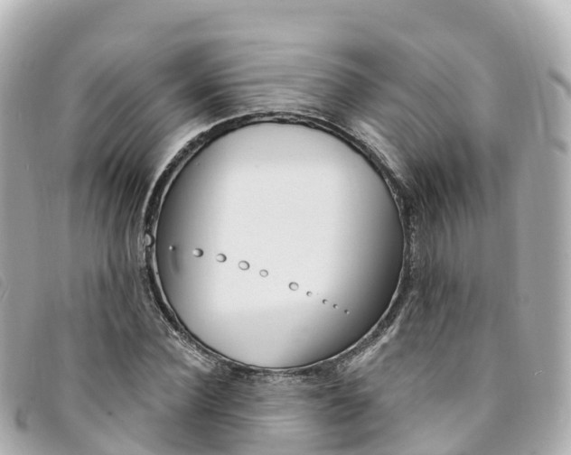 X0000094230924200710261010