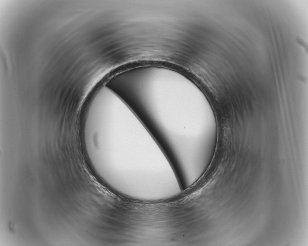 X0000094230926200710261010