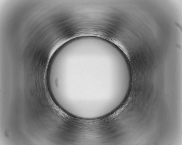 X0000094230928200710261010