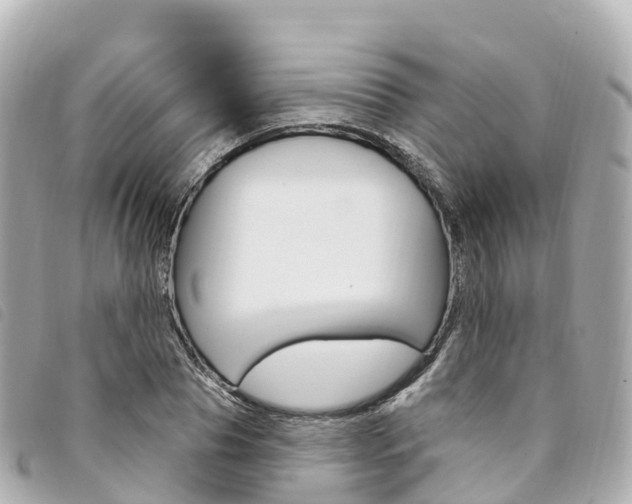 X0000094230929200710261010