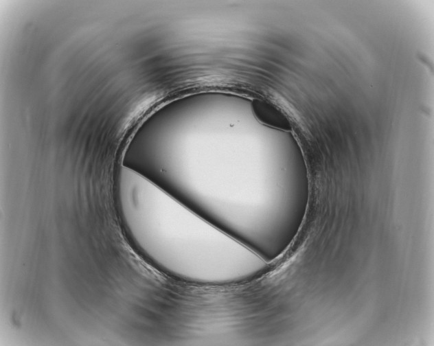 X0000094230930200710261010