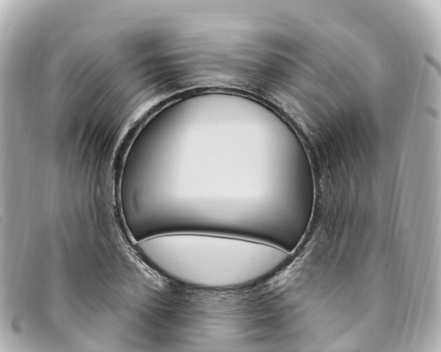 X0000094230931200710261010