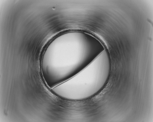 X0000094230935200710261011