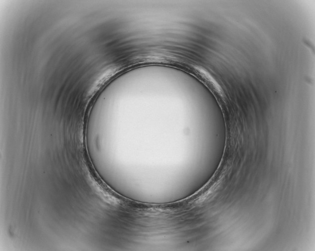 X0000094230938200710261011