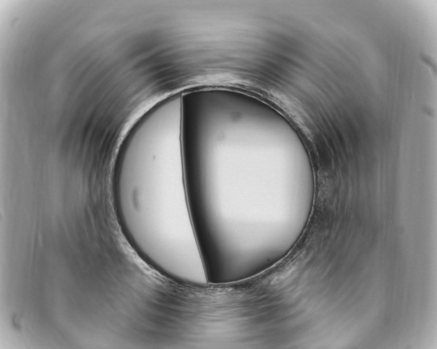 X0000094230939200710261011