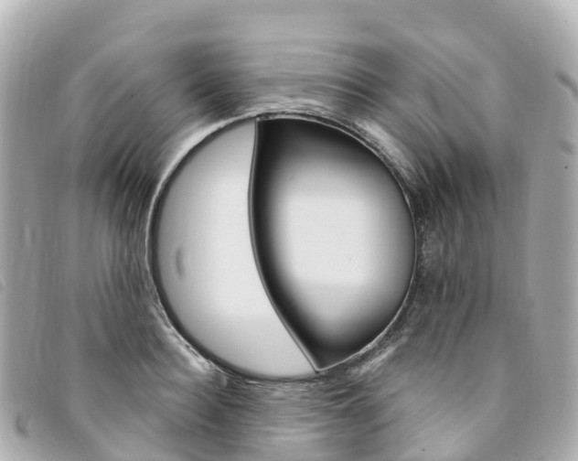 X0000094230940200710261011