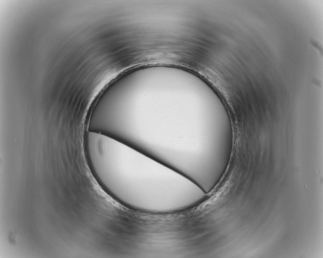 X0000094230941200710261011