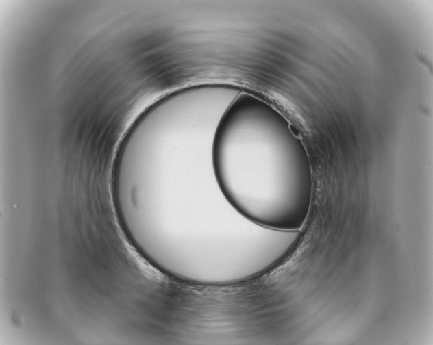 X0000094230942200710261011