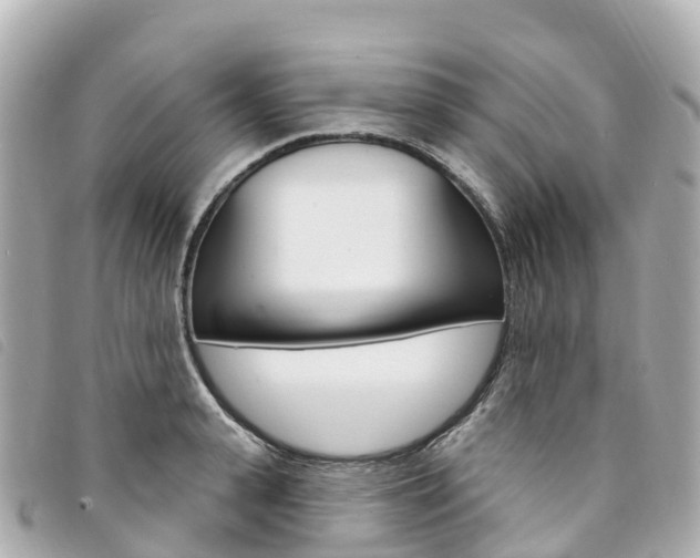 X0000094230943200710261011