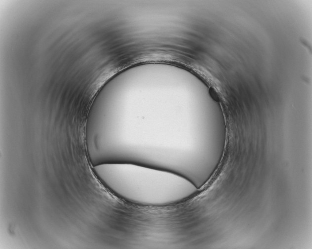 X0000094230945200710261011