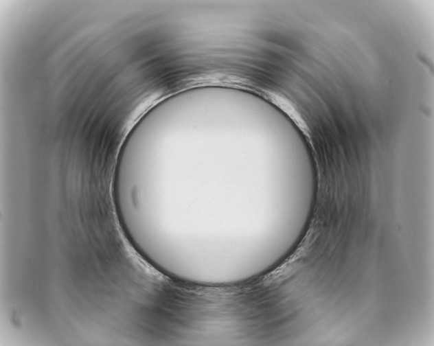 X0000094230946200710261011