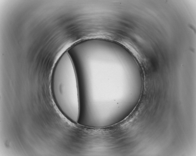 X0000094230949200710261011