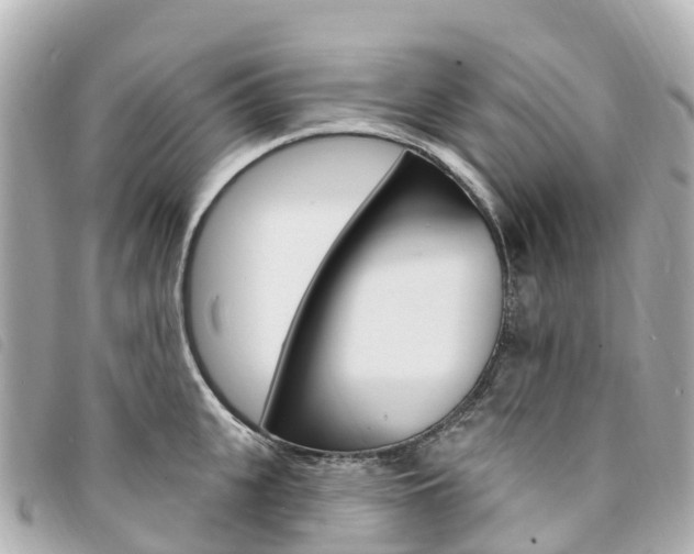 X0000094230951200710261011