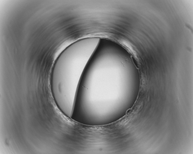 X0000094230952200710261011