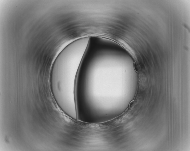X0000094230956200710261011