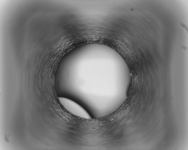 X0000094230961200710261010