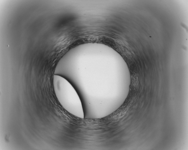 X0000094230962200710261010