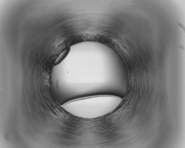 X0000094230964200710261010