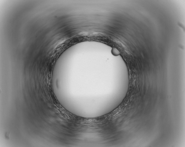 X0000094230966200710261010