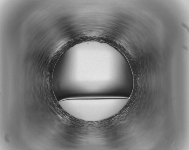 X0000094230968200710261010