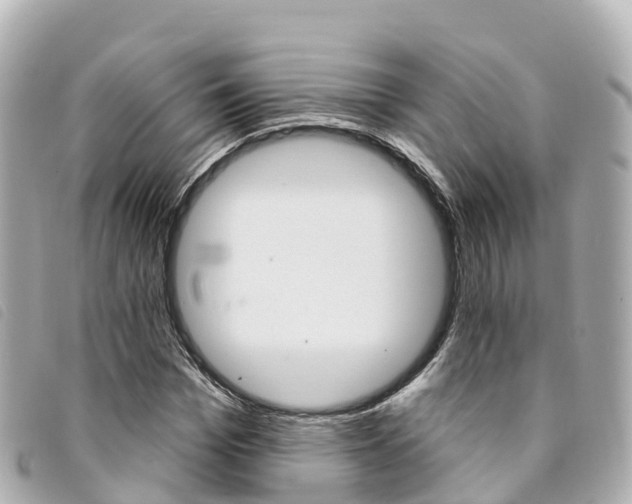 X0000094230969200710261010