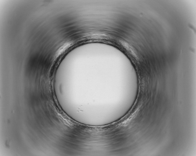 X0000094230970200710261010