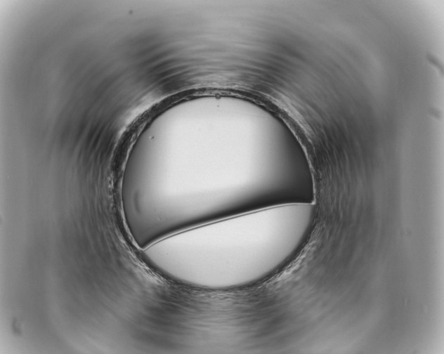 X0000094230971200710261010