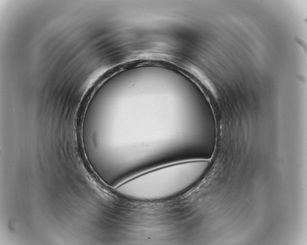 X0000094230972200710261010