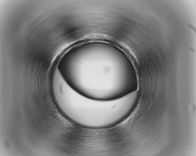X0000094230973200710261010
