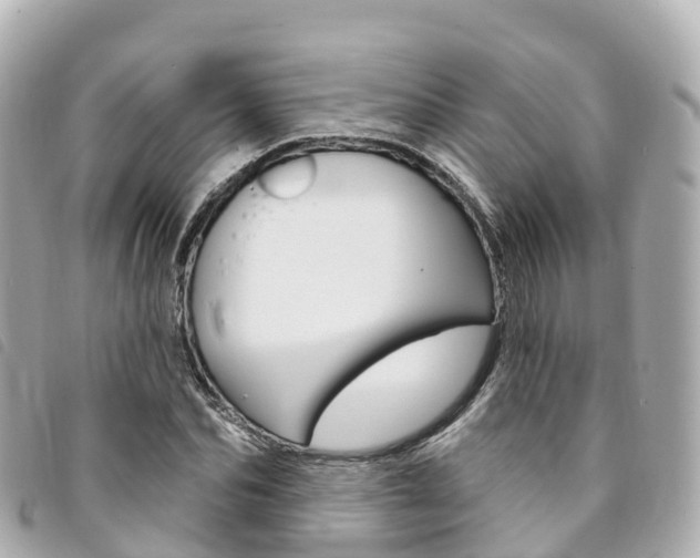 X0000094230974200710261010